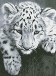 2030 Black and White Snow Leopard Cub Cross-stitch - Click Image to Close