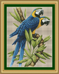 2075 Majestic Macaws Cross-stitch