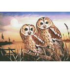 2076 Tawny Owls Cross-stitch