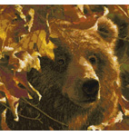 3503 Legend of the Fall- Grizzly Cross-stitch