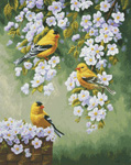 9616 Goldfinch Blossoms Cross-stitch