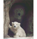 9617 Polar Bear Cub "Mama's Watching"