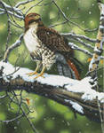 9783 Red Tailed Hawk Counted Cross-stitch