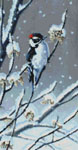 9801 Winter Berries- Downy Woodpecker- Cross-stitch