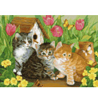 9810 Kitties