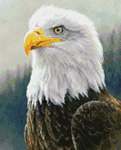 9817 Bald Eagle
