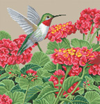 9845 Hummingbird Splendor Cross-stitch