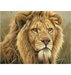 9854 King of Beasts- Lion