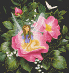 9855 Wild Rose Fairy