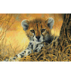9865 Little Baby Cheetah