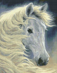 9882 Midnight Glow- White Horse