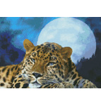 9892 Leopard Moon