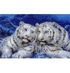 9904 White Duet- White Tigers
