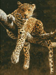 9923 Hypnotic Leopard