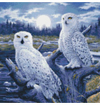 9933 Moonlight Owls- Snowy Owls Cross-stitch