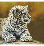 9945 Leopard Cub