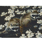 9959 Dogwood Hideout- Raccoons