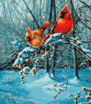 9976 Snow Fire Cardinals