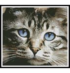 2051 Blue Eyes Kitty- Cross Stitch Chart