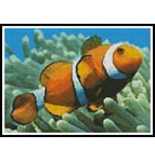 Clownfish - Cross Stitch Chart