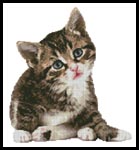 Cute Little Kitten - Cross Stitch Chart