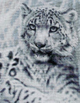 DAW-001 Snow Leopard