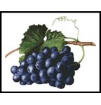 Fruit of the Vine - Cross Stitch Chart