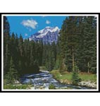 In the Forest - Cross Stitch Chart