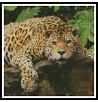 Jaguar - Cross Stitch Chart