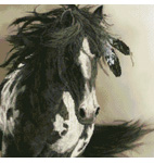 JL-001 Freedom for All- Pinto Horse