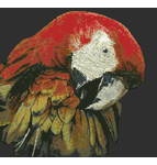 JW-014 Macaw