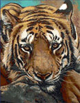 JW-005 Siberian Tiger