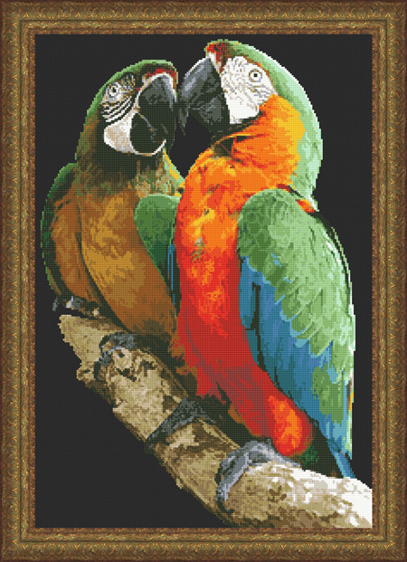 2022 Macaws - Click Image to Close