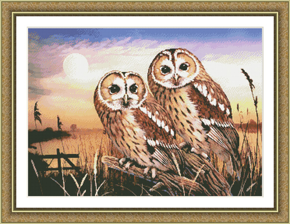 2076 Tawny Owls Cross-stitch - Click Image to Close