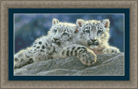 3507 Snow Leopard Cubs - Click Image to Close