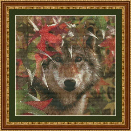 3510 Autumn Encounter Wolf Cross-stitch - Click Image to Close