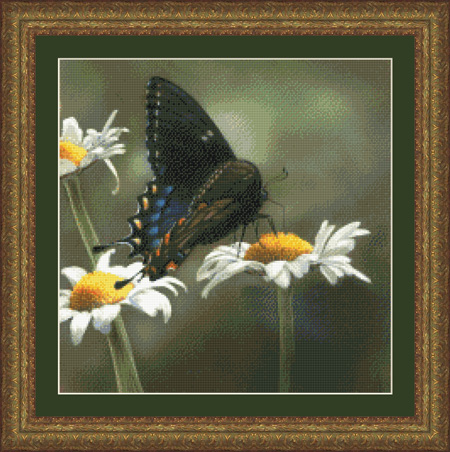 7309 Swallowtail Butterfly Cross-stitch - Click Image to Close