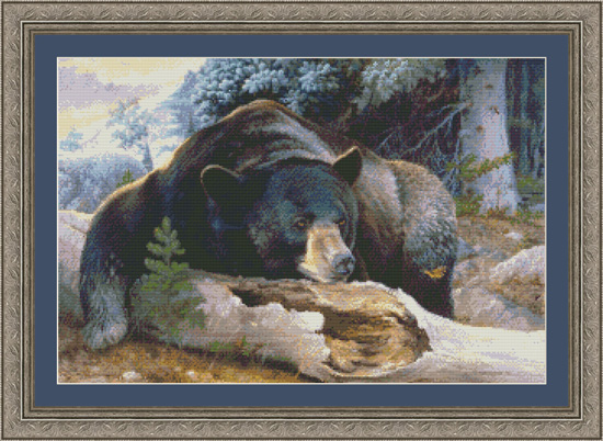 9717 Black Bear Country Cross-stitch - Click Image to Close