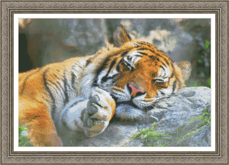 9745 Tiger Dreams Cross-stitch - Click Image to Close