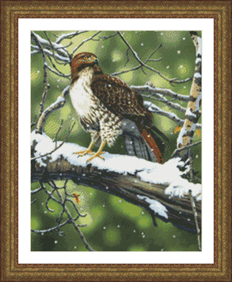 9783 Red Tailed Hawk Counted Cross-stitch - Click Image to Close