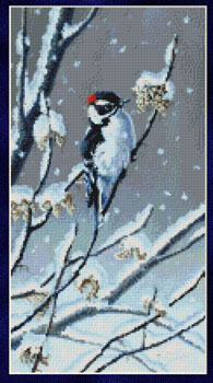 9801 Winter Berries- Downy Woodpecker- Cross-stitch - Click Image to Close
