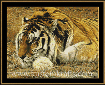 9807 Raja-Siberian Tiger - Click Image to Close