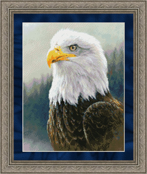9817 Bald Eagle - Click Image to Close