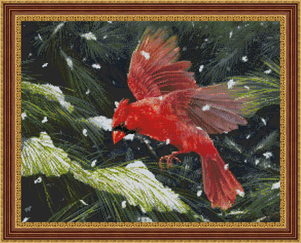 9820 Finding Refuge-Red Cardinal - Click Image to Close