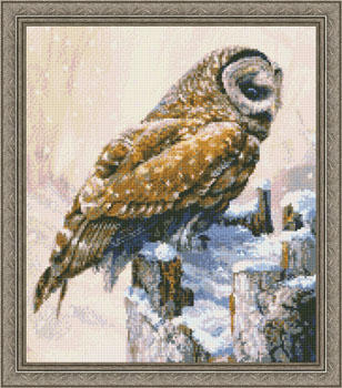 9830 Winter Barred Owl - Click Image to Close