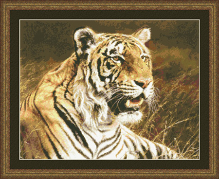 9842 Royal Bengal Tiger - Click Image to Close
