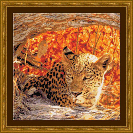 9843 Hiding Leopard - Click Image to Close