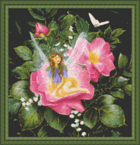 9855 Wild Rose Fairy - Click Image to Close