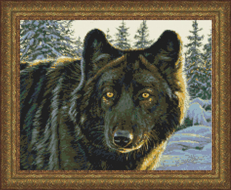 9856 Black Wolf - Click Image to Close
