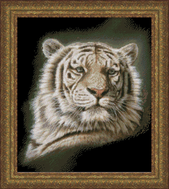 9871 Portrait of a White Tiger - Click Image to Close